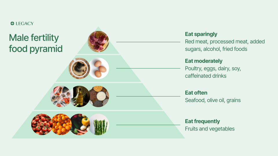 Male fertility food pyramid illustrating dietary recommendations, including foods to eat frequently, often, moderately, and sparingly for improved sperm health.