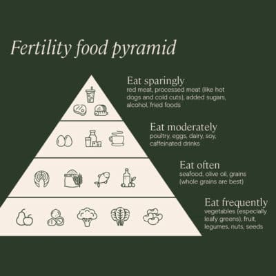 Sugar consumption and fertility