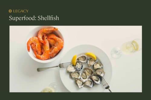 Superfoods for male fertility: Shellfish